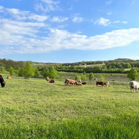 Baladome * Dörgicse