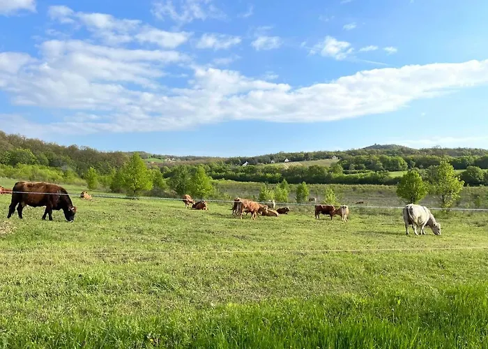 Baladome * Dörgicse